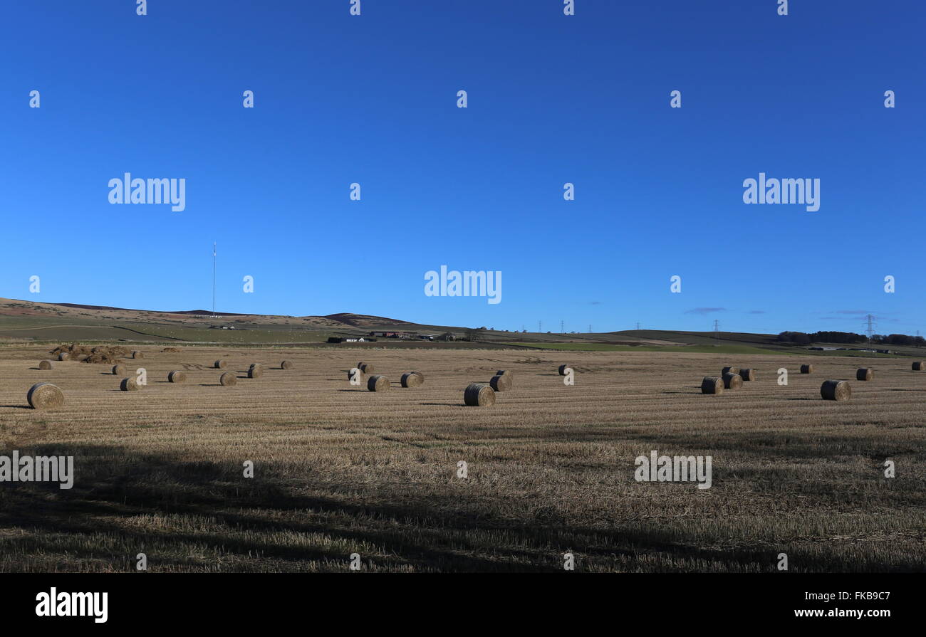 Heuballen und Gallow Hill Sender in Sidlaw Hills Angus Scotland März 2016 Stockfoto