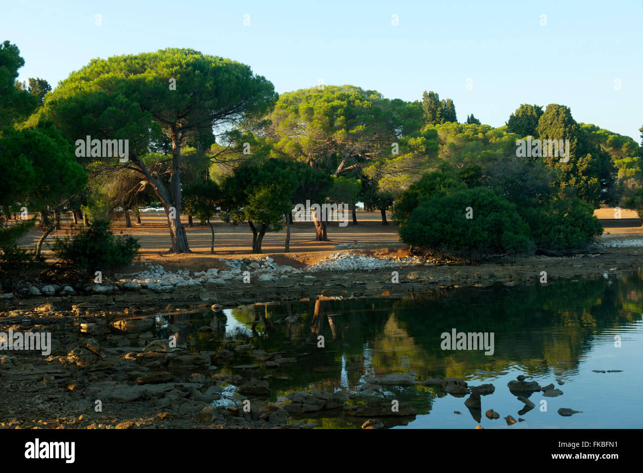 Fernsehreihe, Istrien, Insel Veli Brijuni Im Nationalpark Brijuni-Inseln Vor Pula. Stockfoto