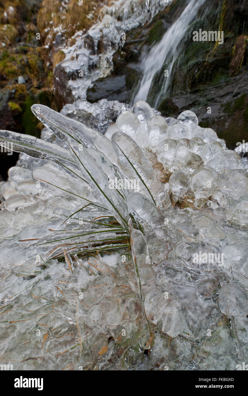 Ungewöhnliche gefrorenes Gras Eisformationen neben einem See Bezirk Wasserfall Stockfoto
