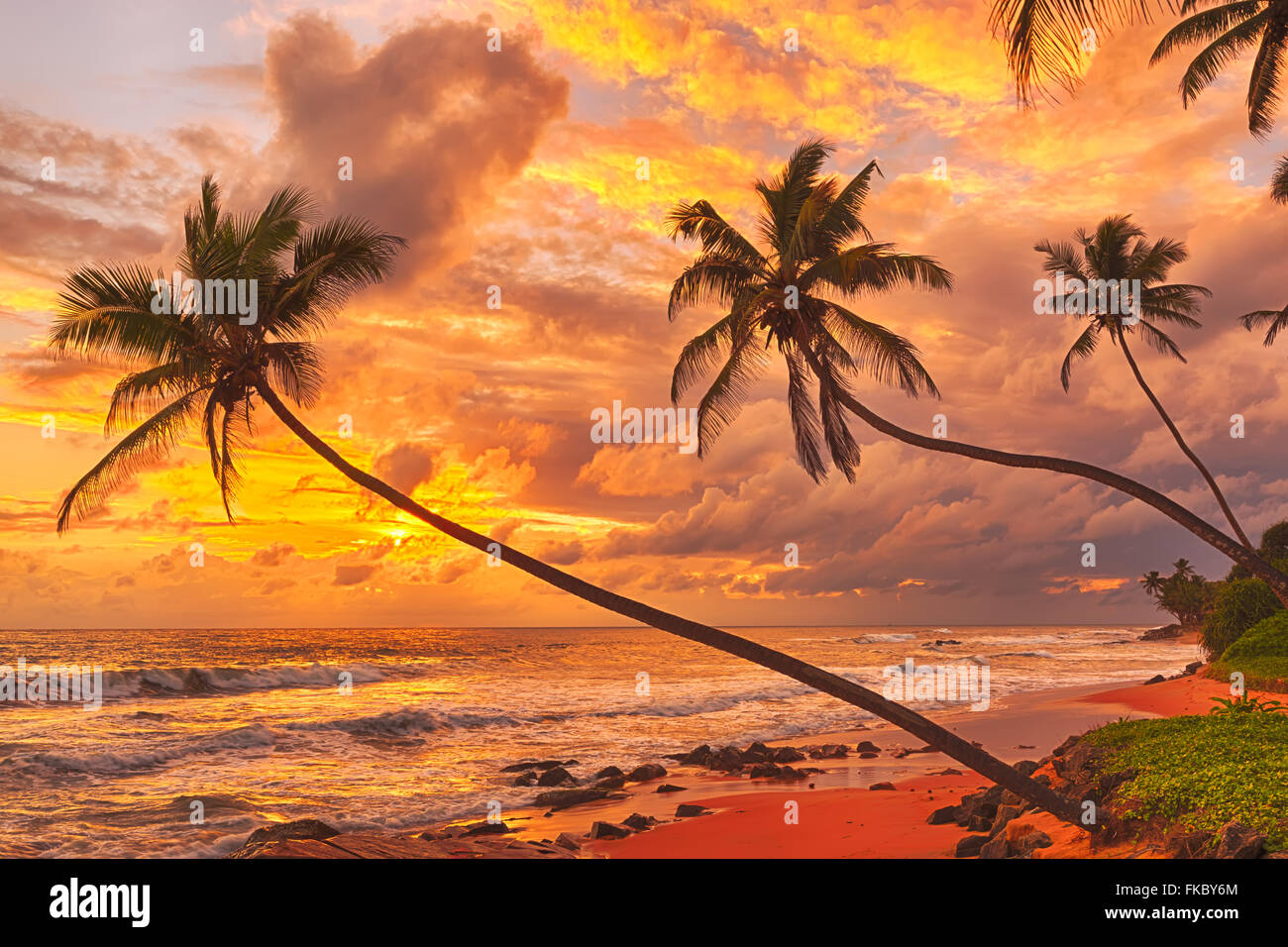 Sonnenuntergang über dem Meer. Sri Lanka Stockfoto