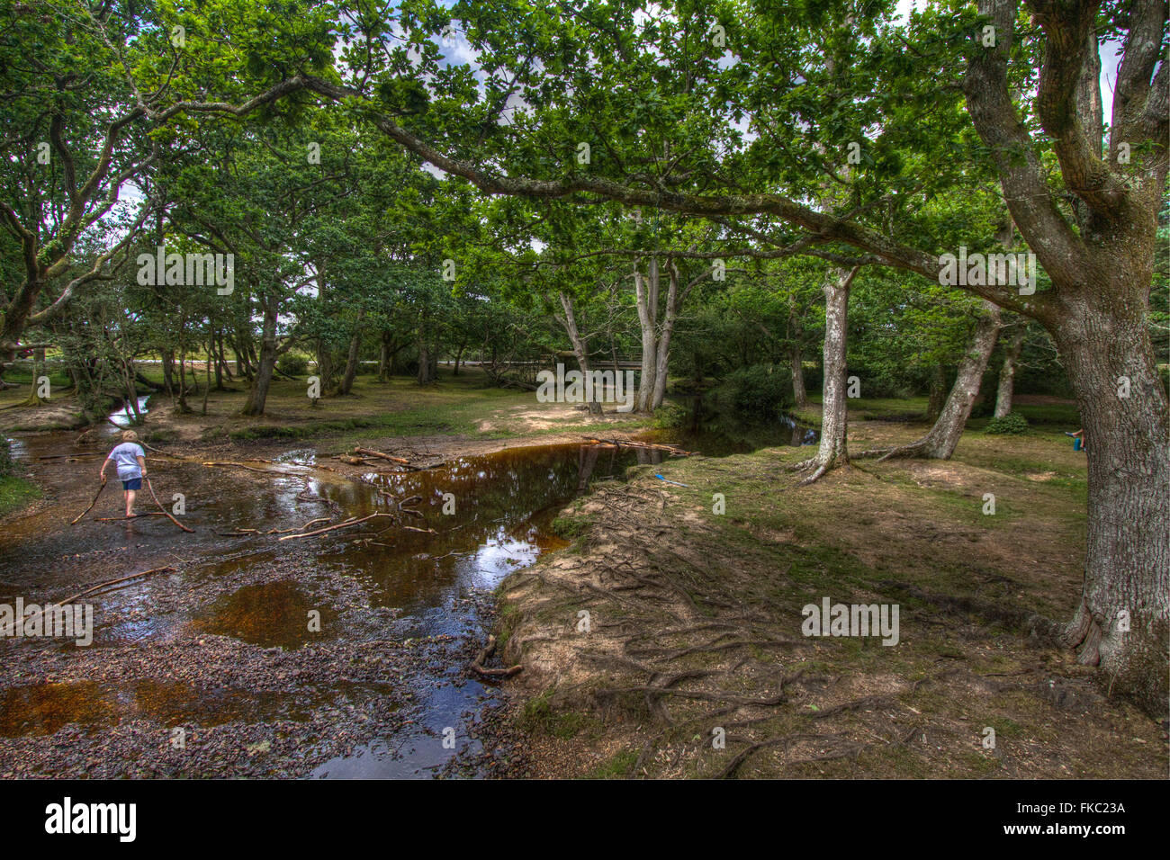 Puttles Brücke im New Forest Stockfoto Puttles Brücke im New Forest Stockfoto
