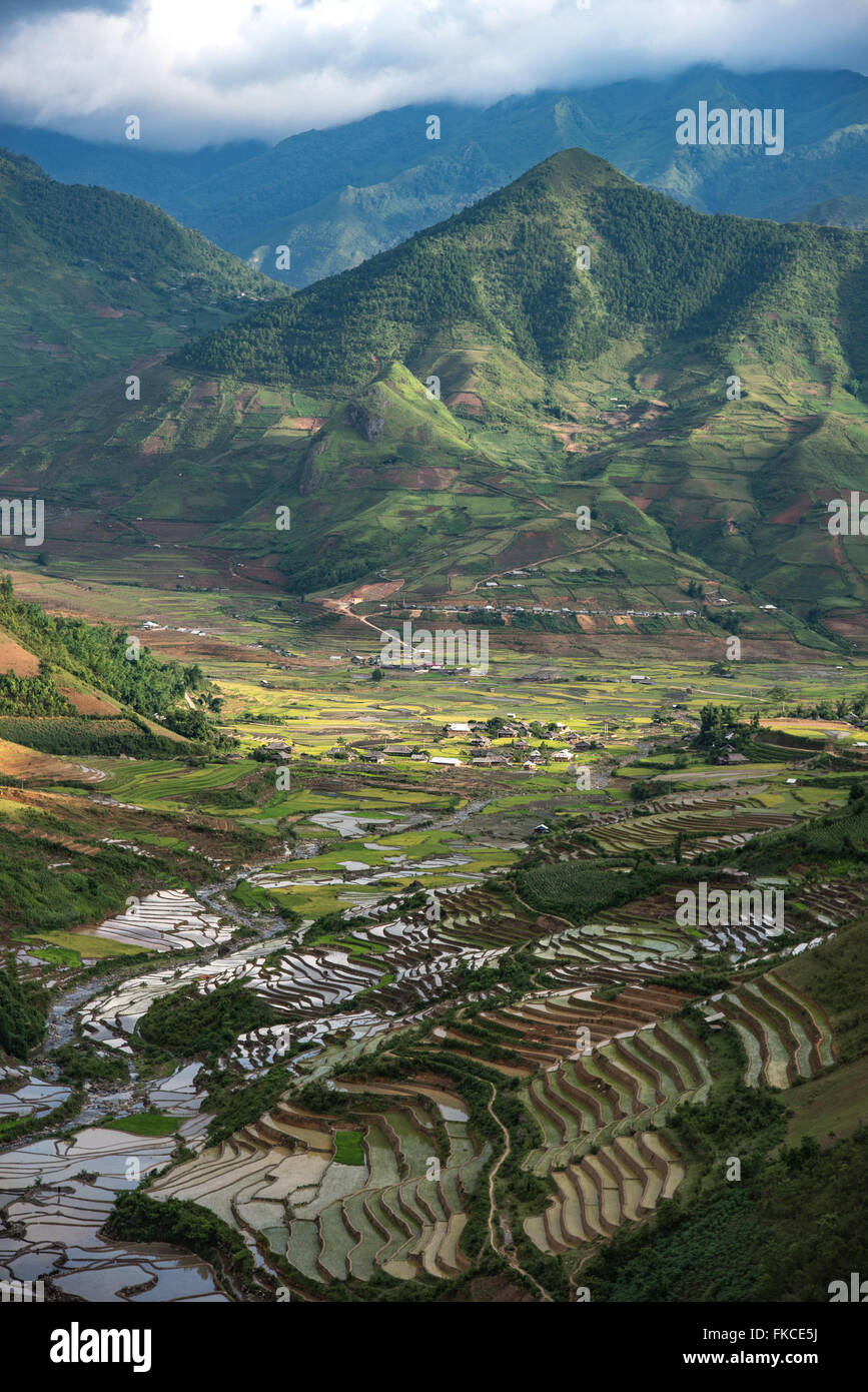 Reisterrassen in Sapa, Lao Cai, Vietnam Stockfoto