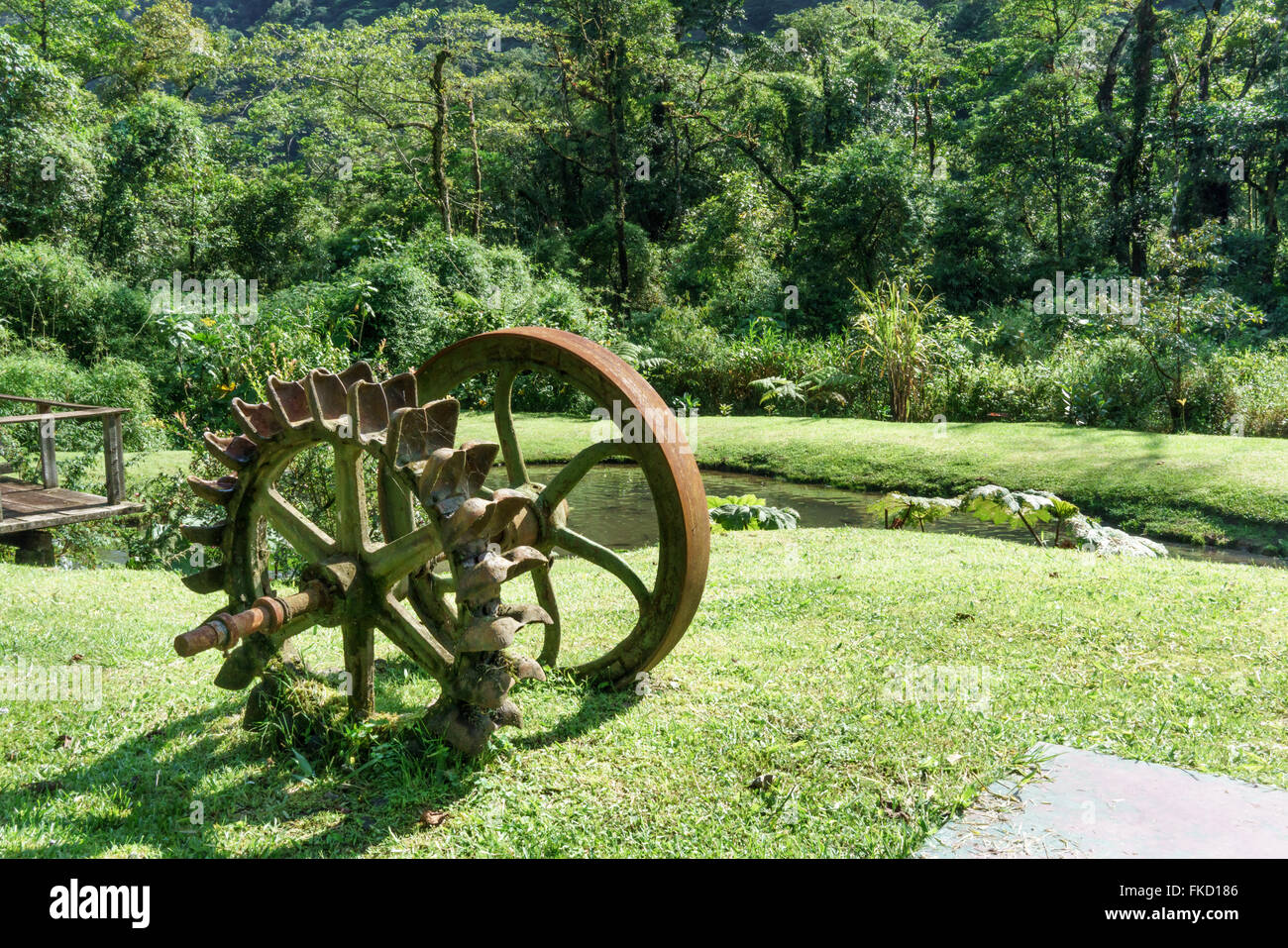 Wasserrad auf Feld in einem Wald, Costa Rica Stockfoto