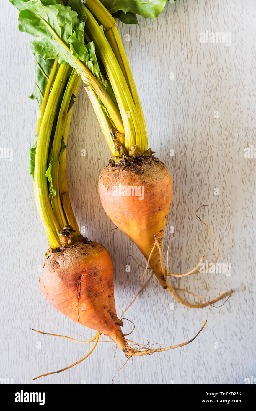 Studioaufnahme von golden Rüben Stockfoto