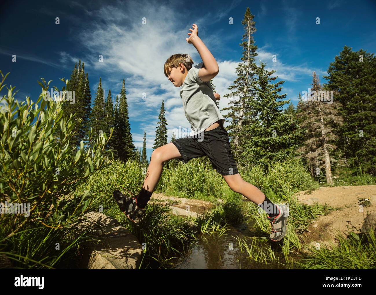 Junge (12-13) springen im Wald Stockfoto