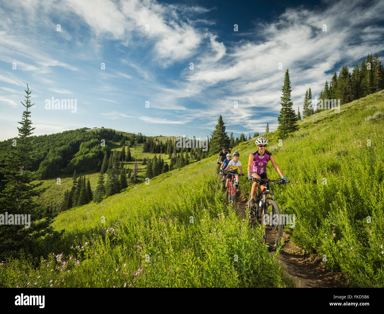Eltern mit Söhnen (10-11, 12-13) während der Radtour Stockfoto