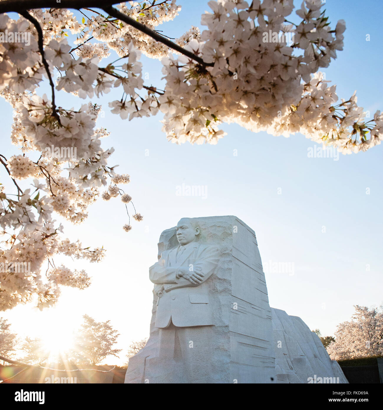 MLK Memorial in Kirschblüten gerahmt Stockfoto
