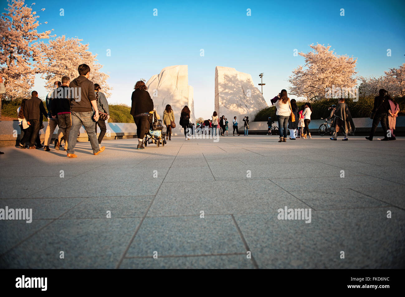 Menschen, die zu Fuß in Richtung der MLK Memorial während der Kirschblüte festival Stockfoto