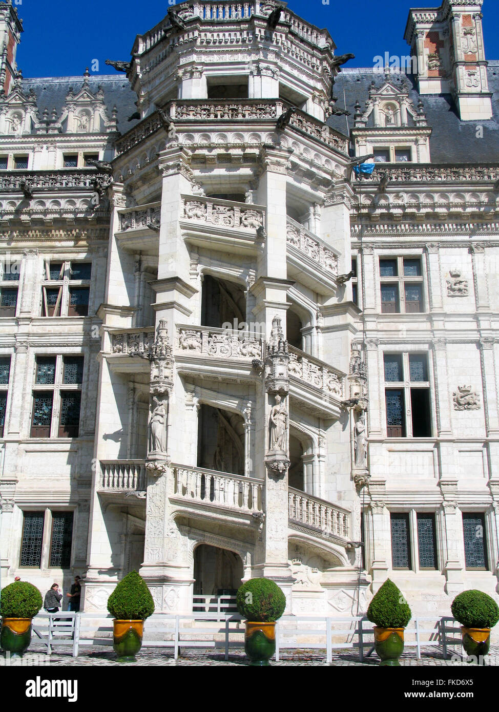 Die Wendeltreppe in der François ich Flügel des königlichen Château de Blois. Stockfoto