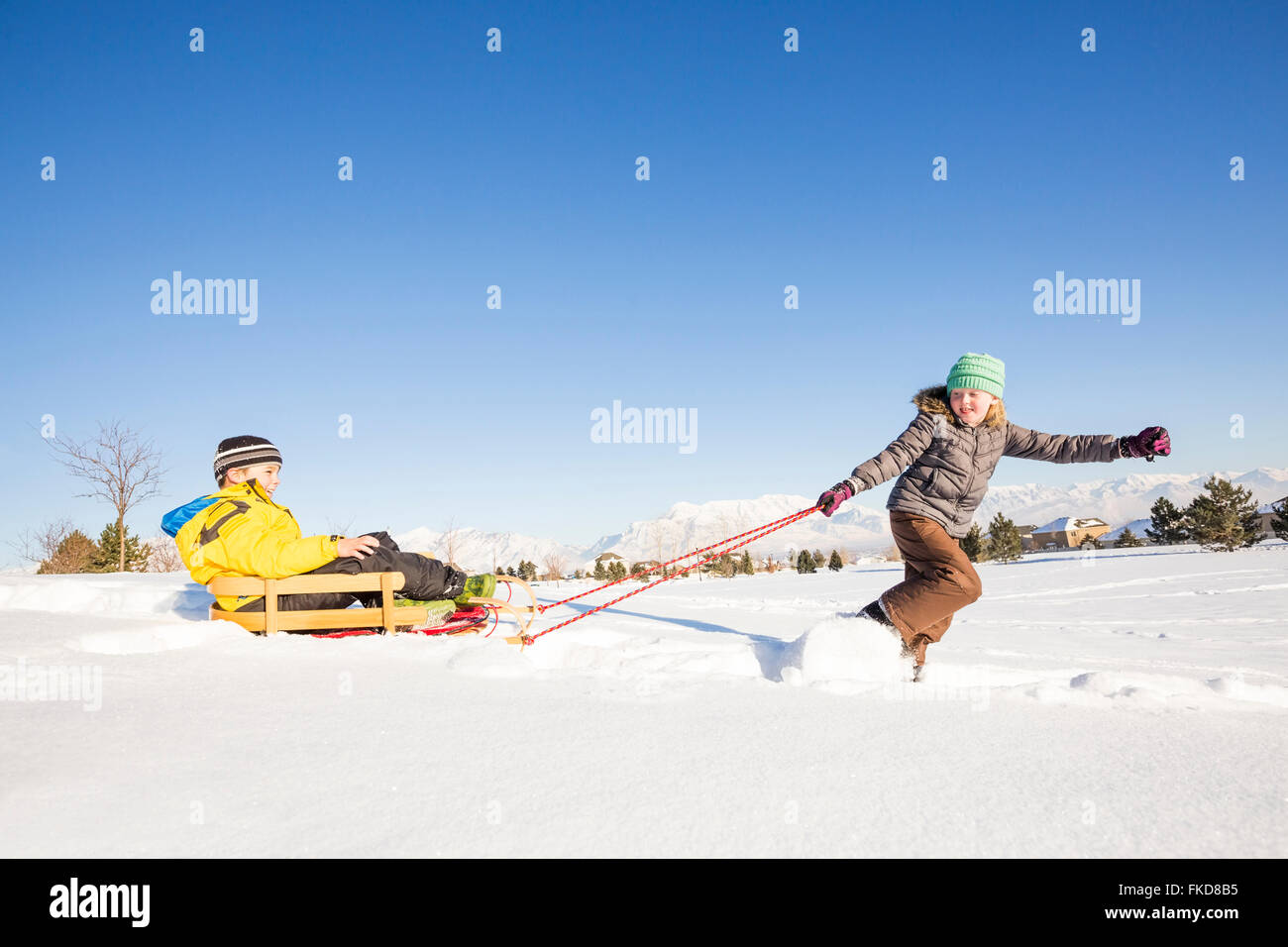 Kinder (8-9) mit Schlitten im Schnee spielen Stockfoto