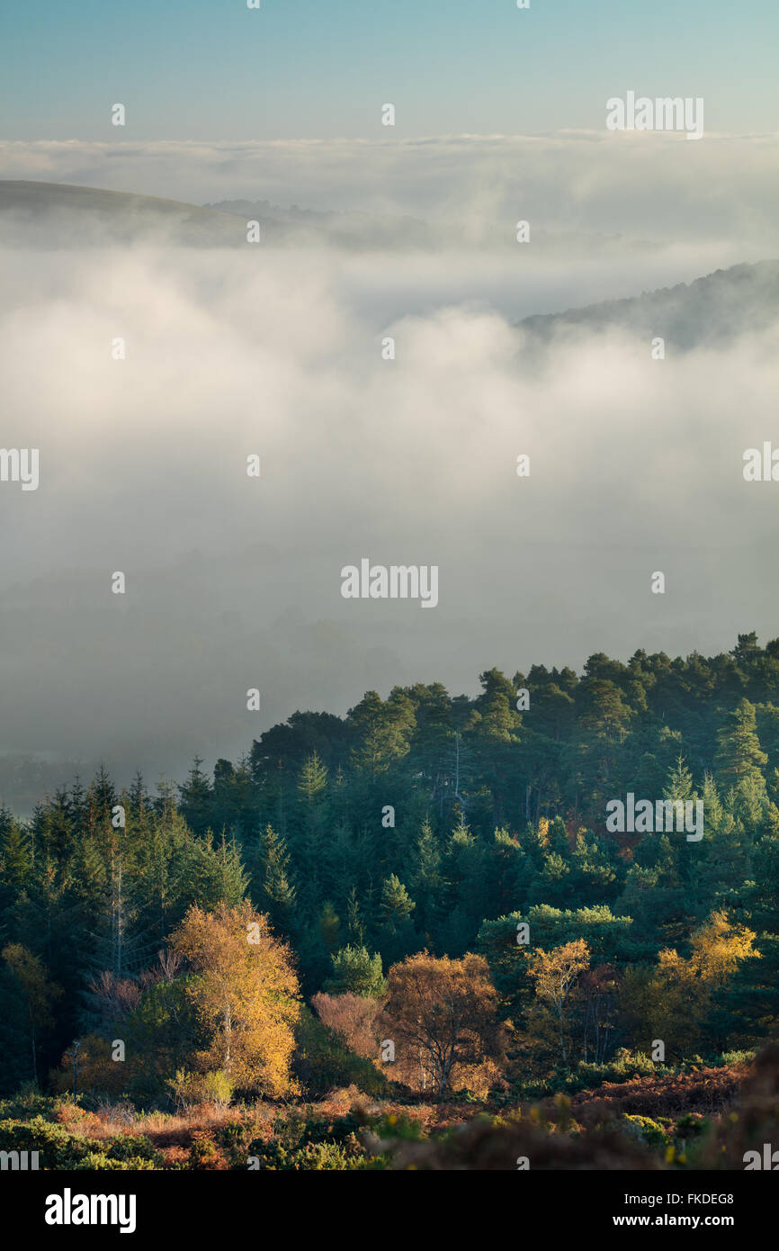 Herbstfärbung nr Webbers Post mit Nebel hängt über den Holnicote Estate, Exmoor National Park, Somerset, England, UK Stockfoto