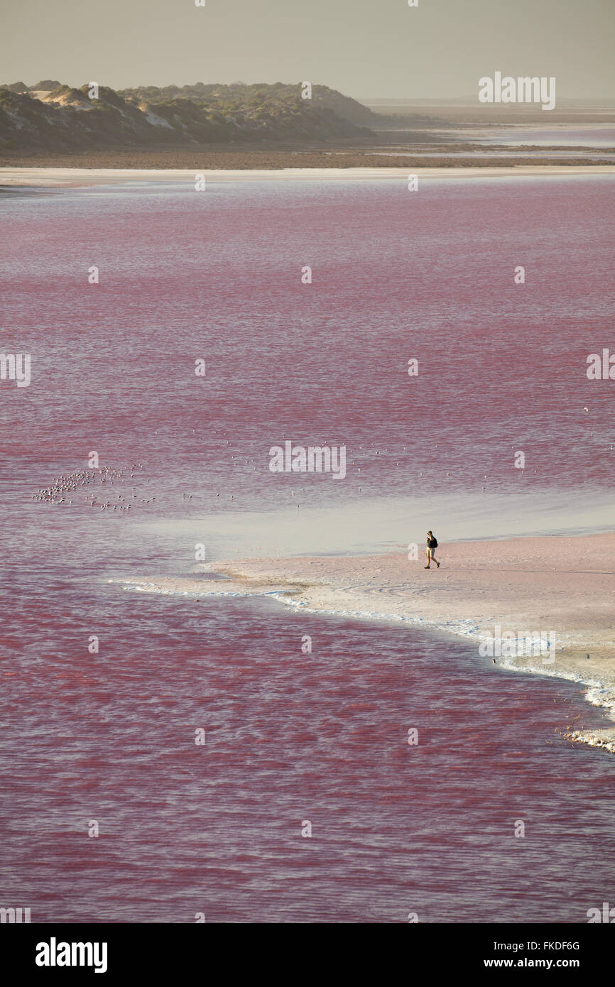 Wendy beschreitet kühn am Ufer der Lagune rosa Hutt im Port Gregory, West-Australien Stockfoto