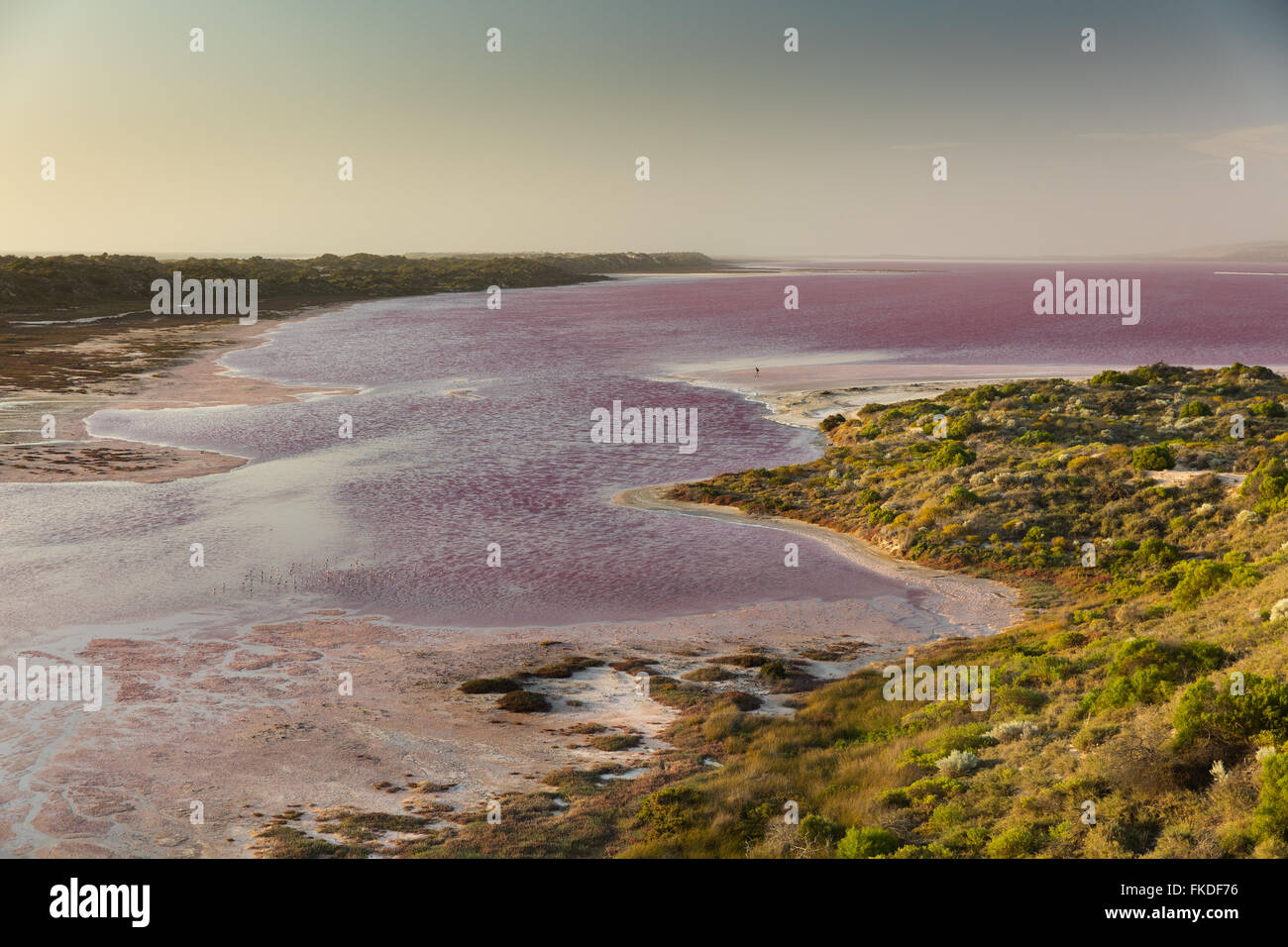 troopy an den Ufern der Lagune rosa Hutt im Port Gregory, West-Australien Stockfoto