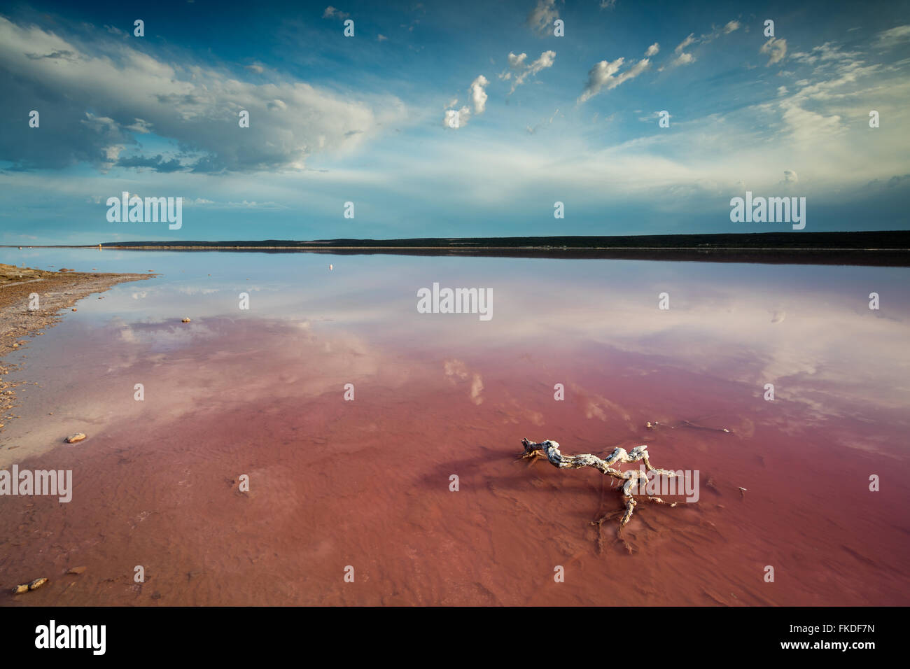 der Rosa Lagune am Port Gregory, West-Australien Stockfoto