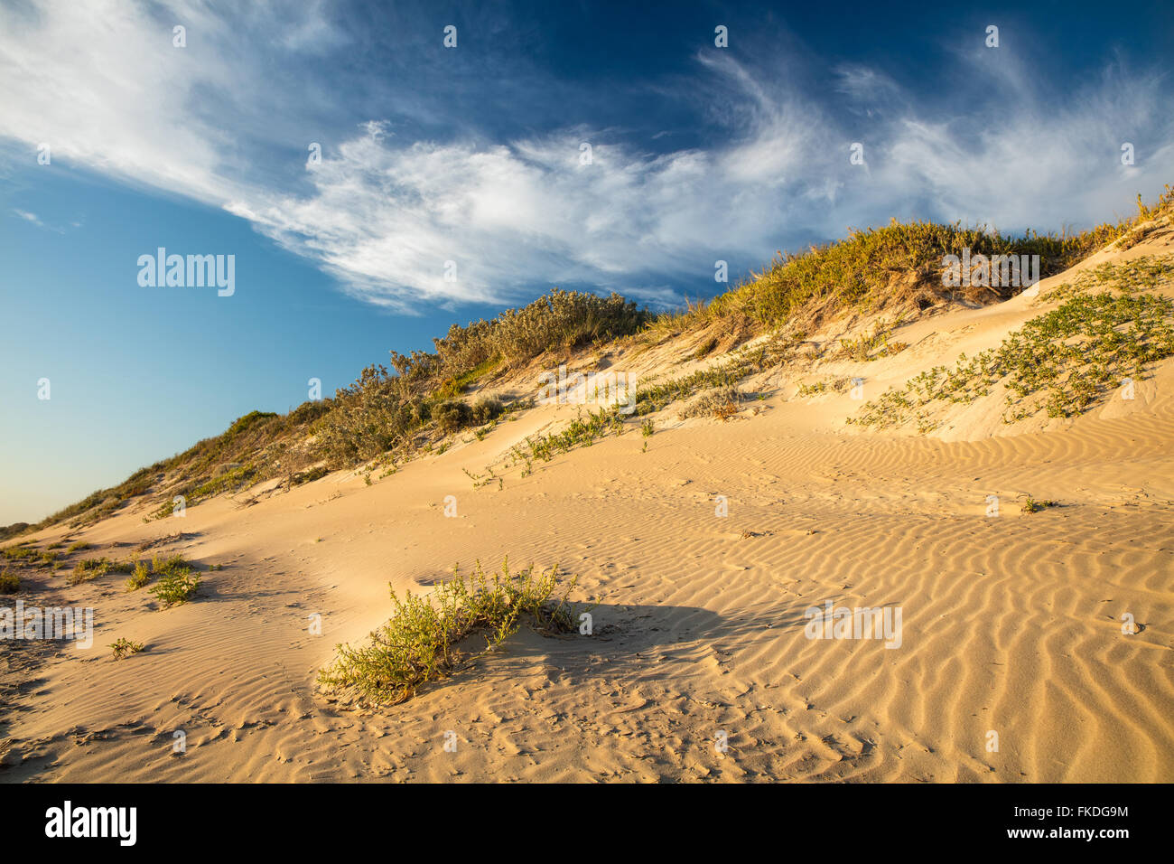 der Strand von Port Gregory, West-Australien Stockfoto