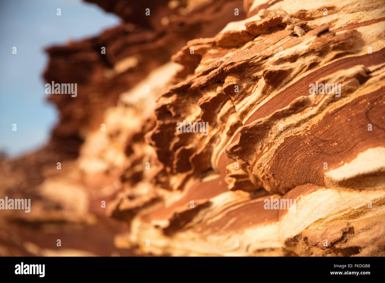Gesteinsschichten an der Küste im Kalbarri National Park, Western Australia Stockfoto