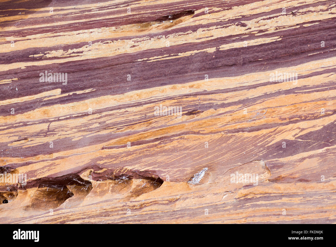 Gesteinsschichten in der Murchison River Schlucht bei Ross Graham, Kalbarri National Park, Western Australia Stockfoto