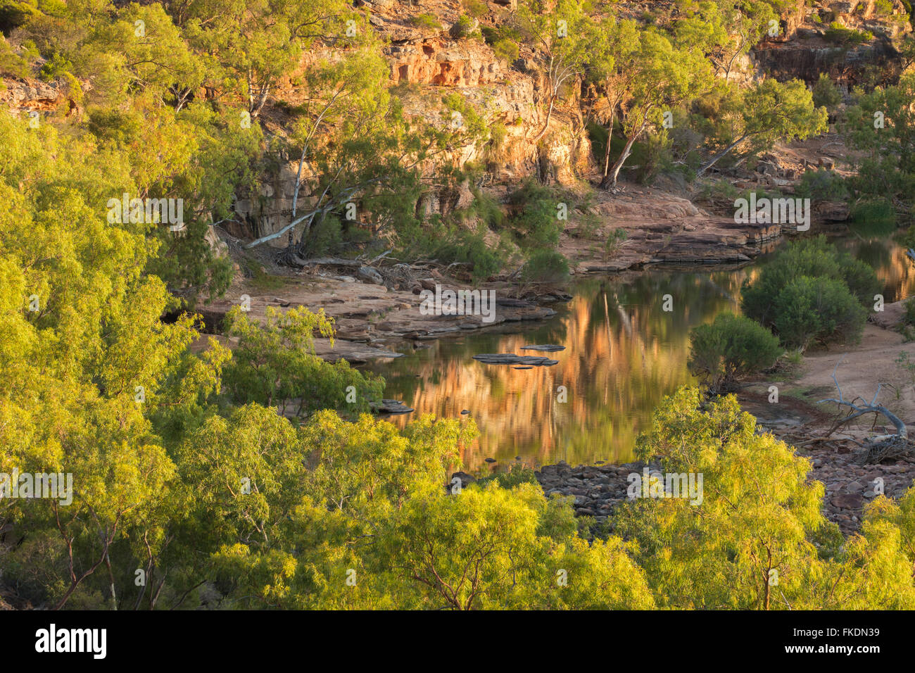 der Murchison River Gorge an der Ross Graham Lookout, Kalbarri National Park, Western Australia Stockfoto