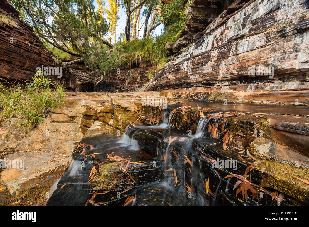 Kalamina Gorge, Karijini-Nationalpark, Pilbarra, Western Australia, Australia Stockfoto