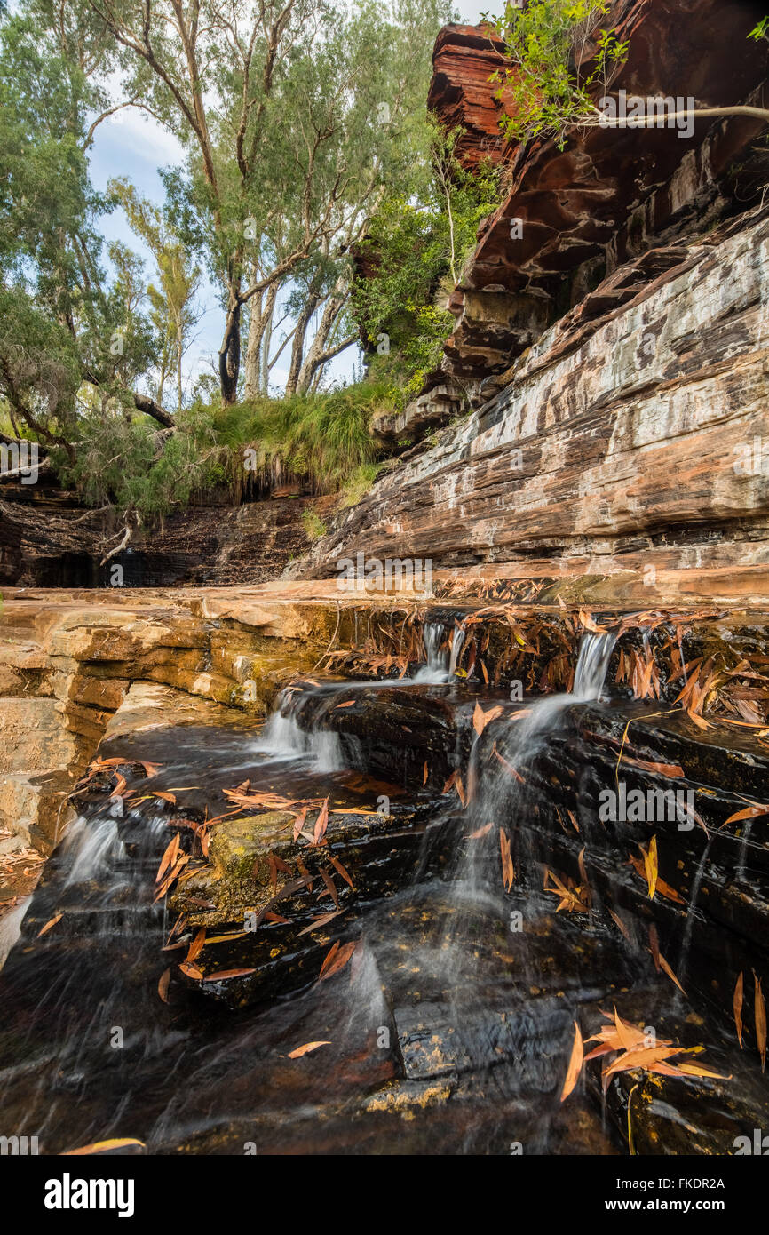 Kalamina Gorge, Karijini-Nationalpark, Pilbarra, Western Australia, Australia Stockfoto