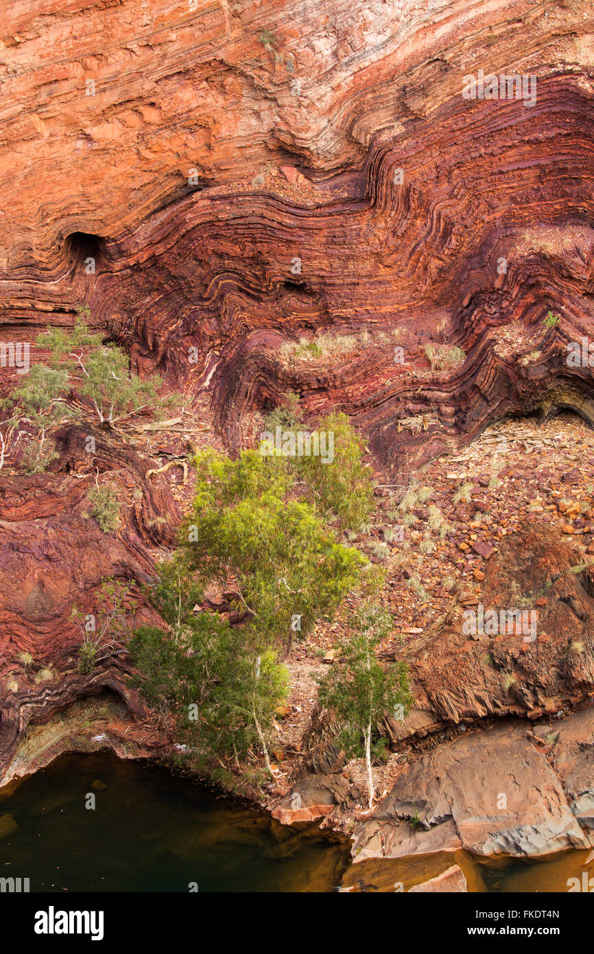 Hamersley Gorge, Karijini-Nationalpark, Pilbara, Western Australia, Australia Stockfoto