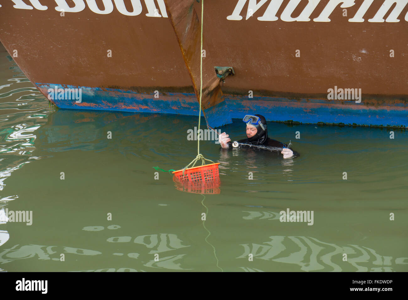 Taucher Boot Propeller verworrenen Netz entfernen Stockfoto