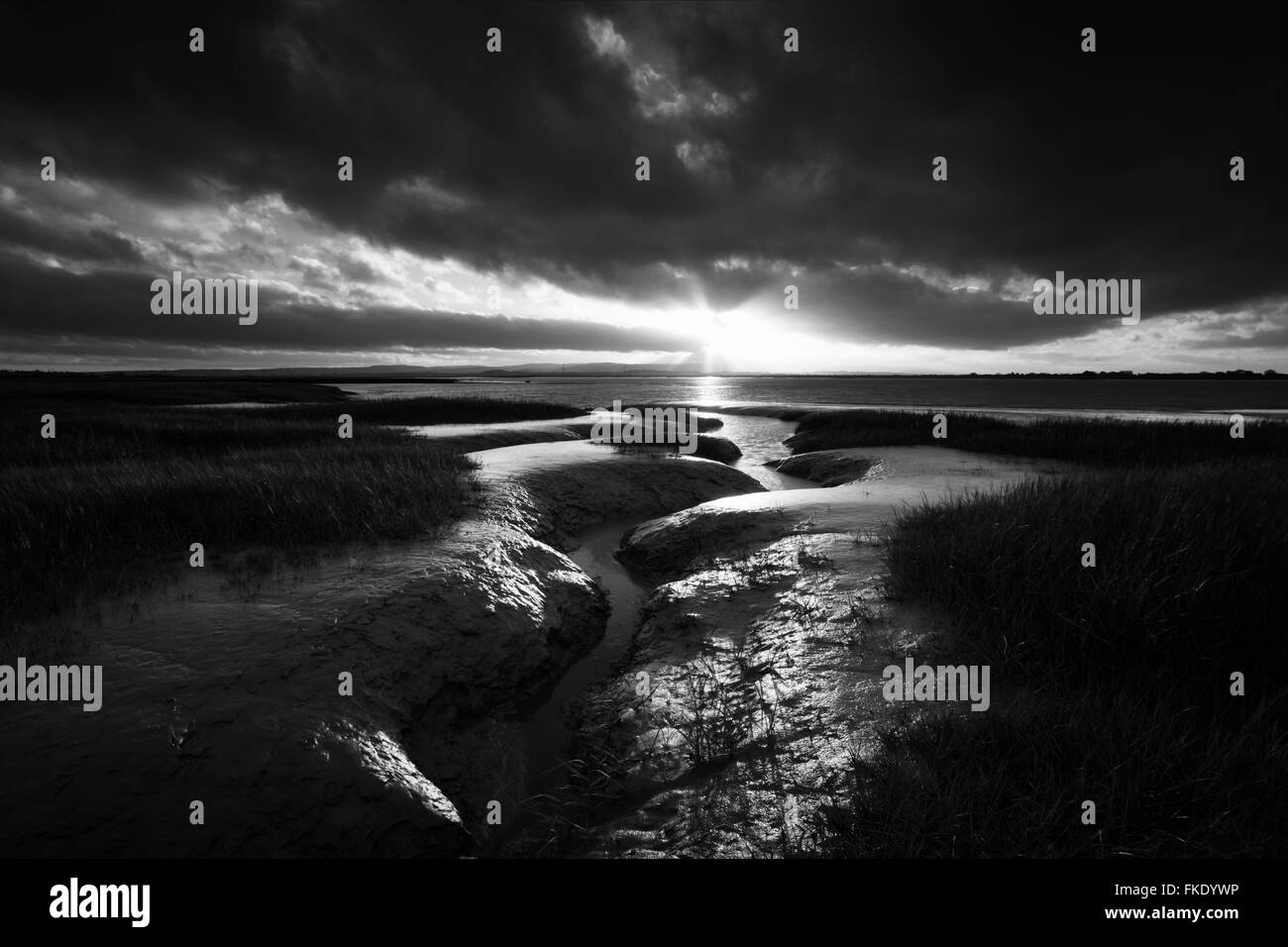 Kanal. Parrett Flussmündung. Somerset. VEREINIGTES KÖNIGREICH. Stockfoto