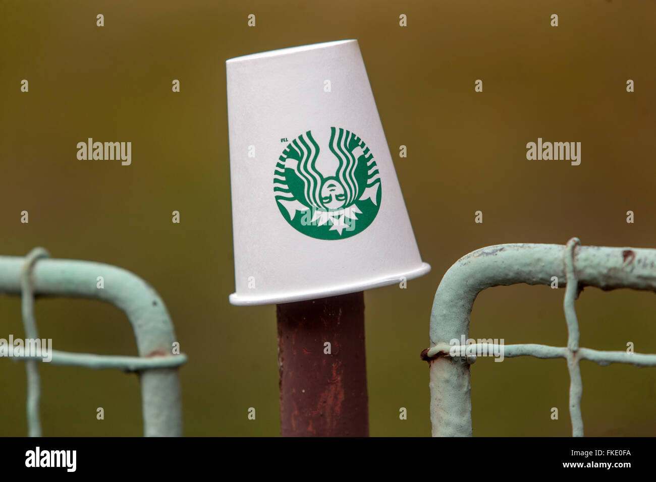 Starbucks Kaffee Tasse auf dem Zaun Stockfoto