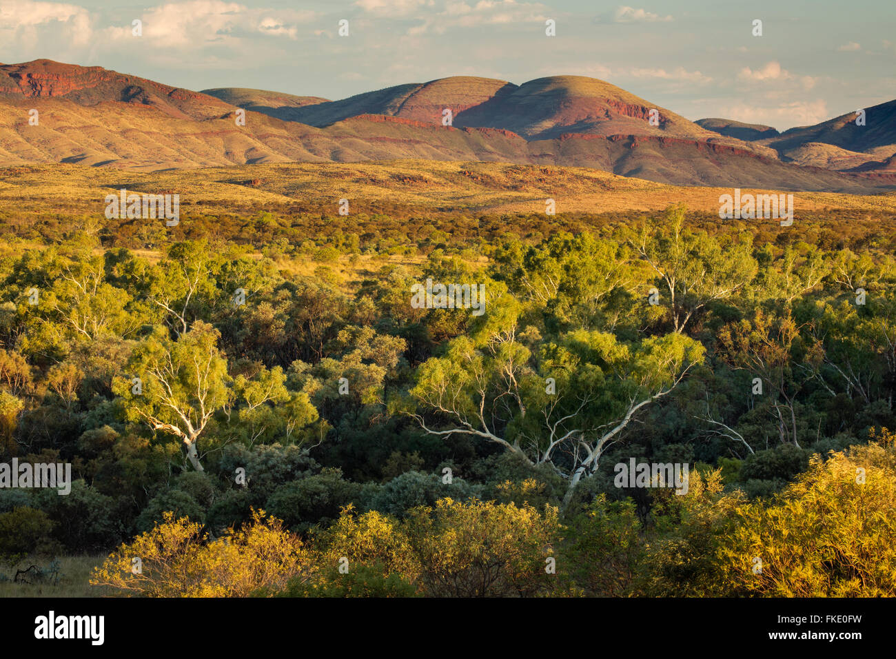 Pilbara, Western Australia, Australia Stockfoto
