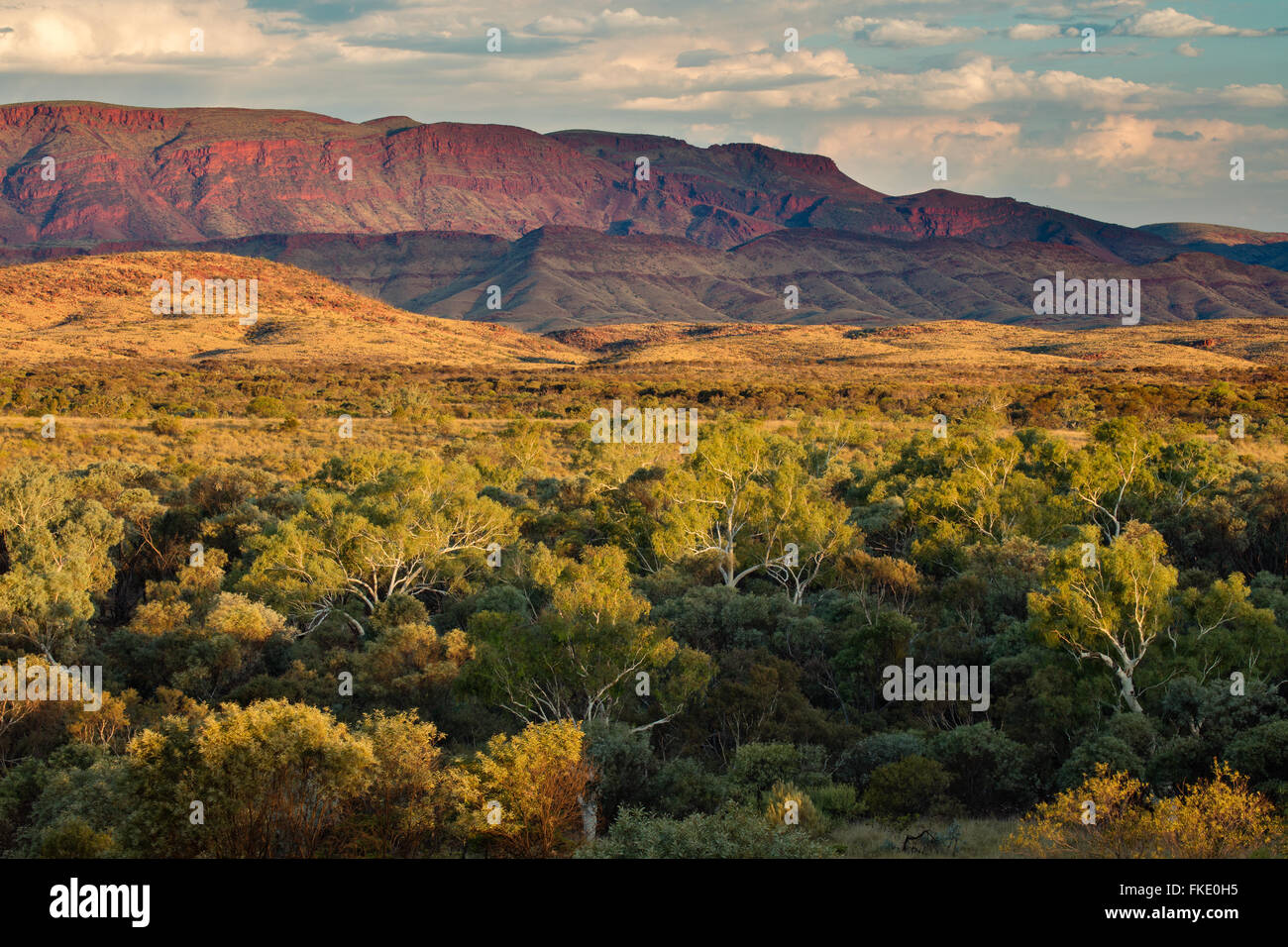 Pilbara, Western Australia, Australia Stockfoto