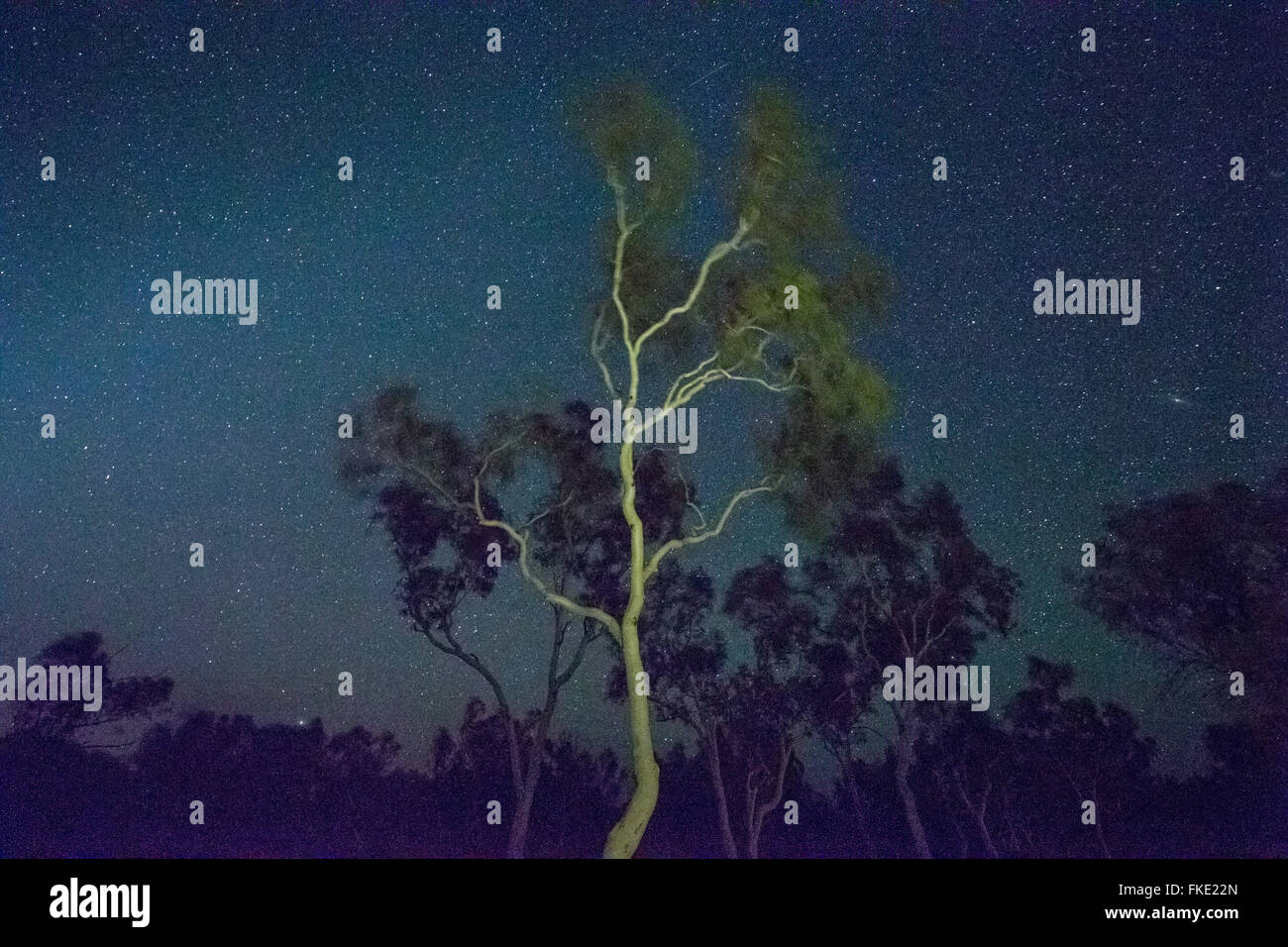 der Sternenhimmel über der Pilbarra, Western Australia Stockfoto