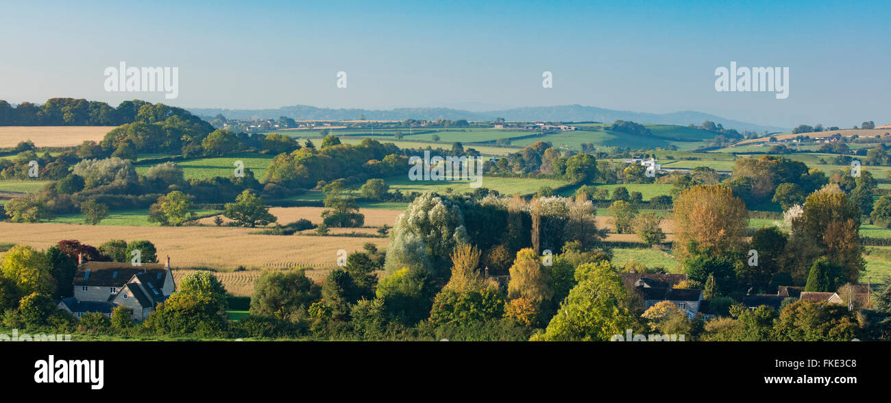 Herbstfärbung im Tal rund um Milborne Wick, Somerset, England, UK Stockfoto