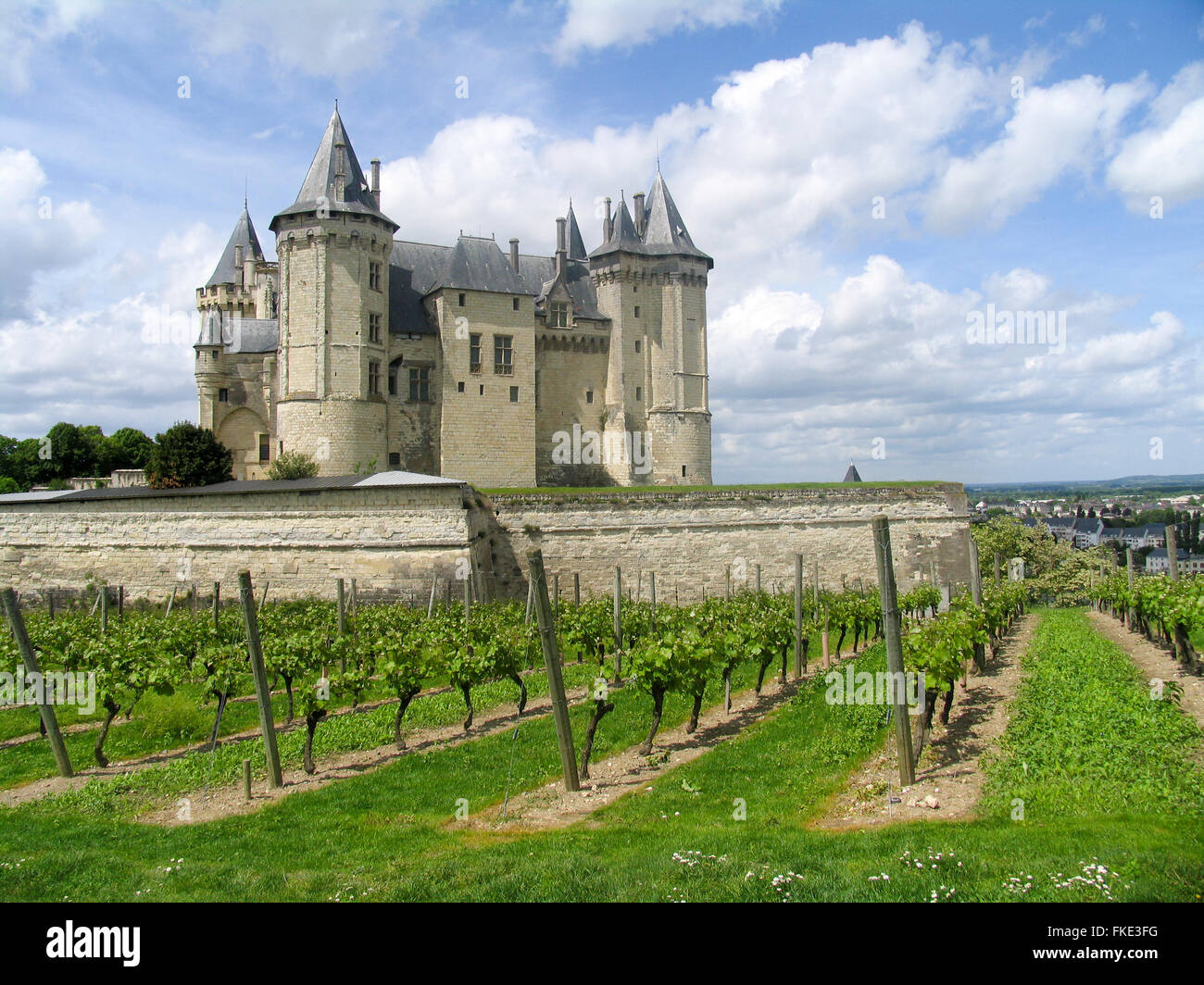 Weinreben wachsen neben den Château de Saumur. Stockfoto