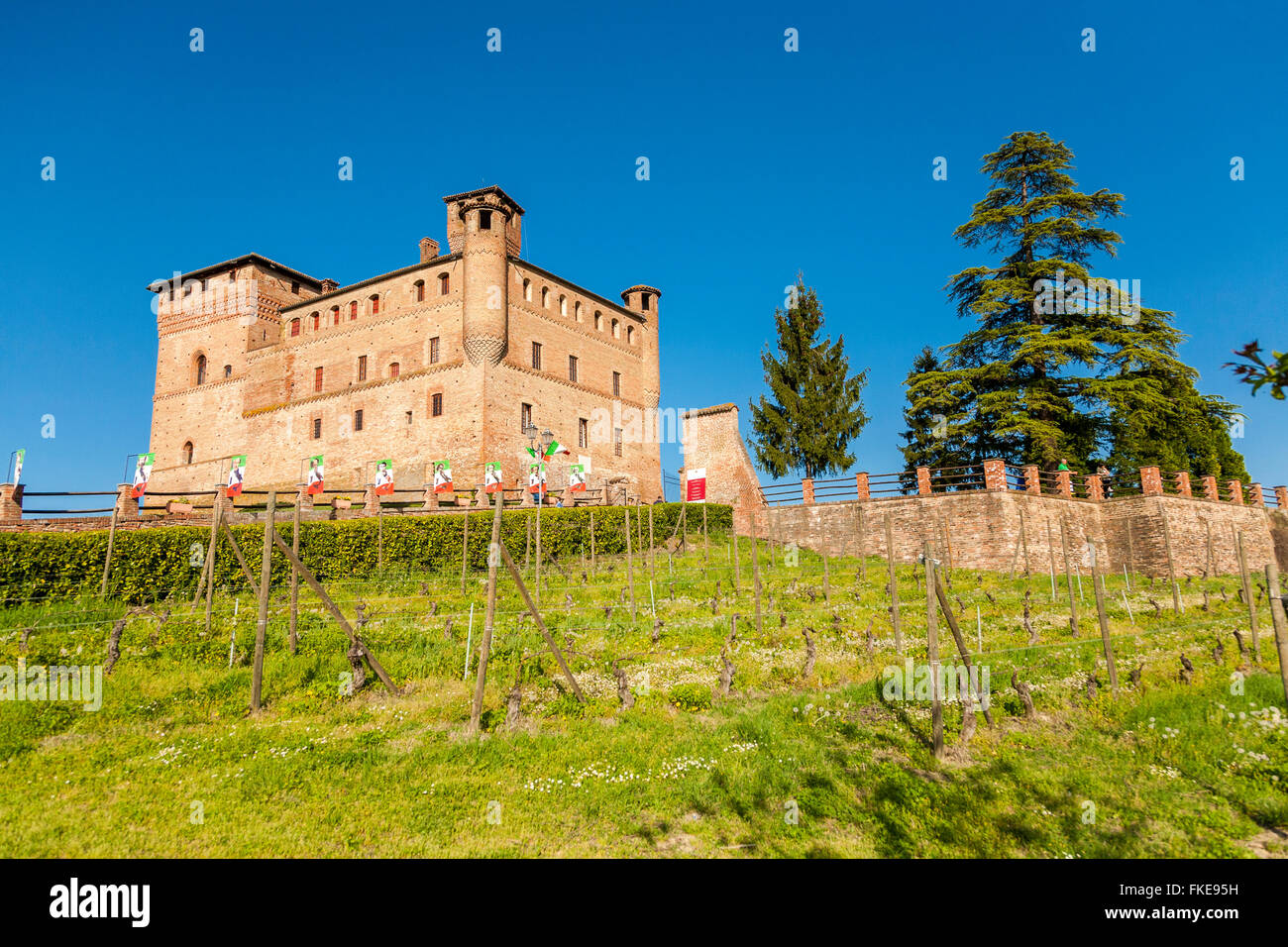 Grinzane Cavour Burg, World Heritage, in der Nähe von Barolo, Weinstraße, Langhe Region Cuneo, Piemont Italien Stockfoto