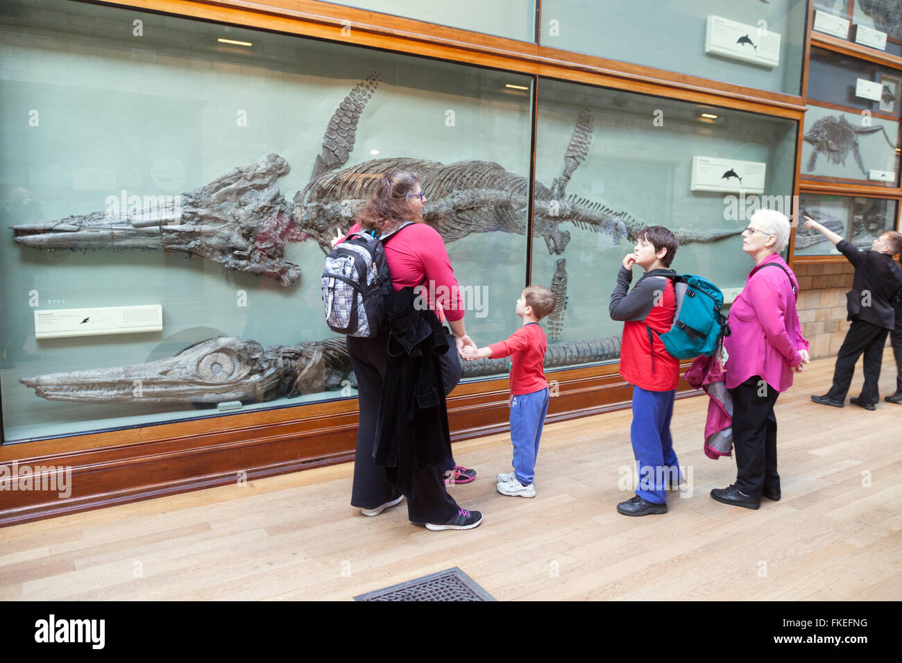 Eine Familie mit Kindern, Blick auf einen fossilen Pleiosaur Dinosaurier, The Natural History Museum, London UK Stockfoto