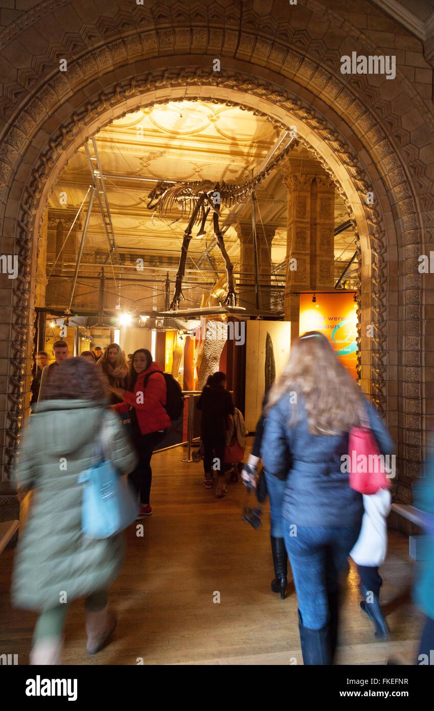 Besucher, die die Dinosaurier Hall, das Natural History Museum, London UK Stockfoto