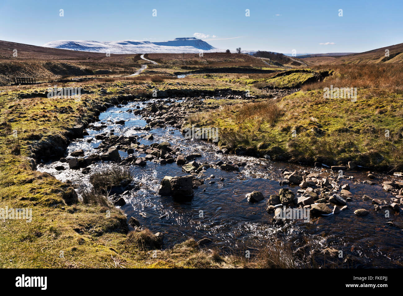 Eine schneebedeckte Ingleborough am Horizont, von Blea Moor gesehen. Wenig Dale Beck im Vordergrund. Ingleton, North Yorkshire. Stockfoto