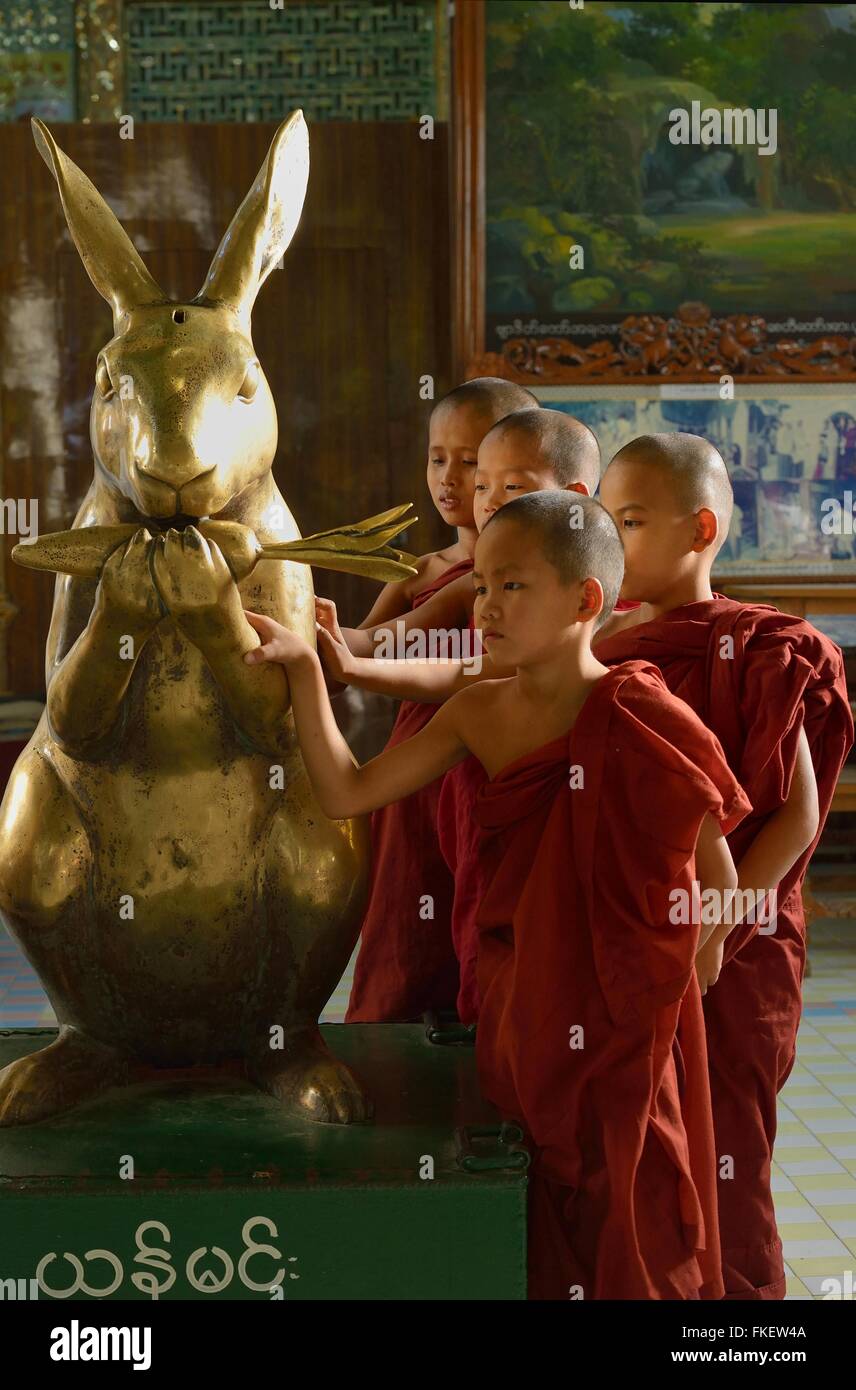 Junge Mönche in goldenen Kaninchen, bald U Ponya Shin Paya Pagode, Sagaing Hill, Myanmar Stockfoto