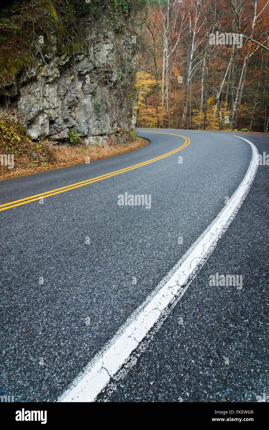 Smoky Mountain Road-Kurve Stockfoto