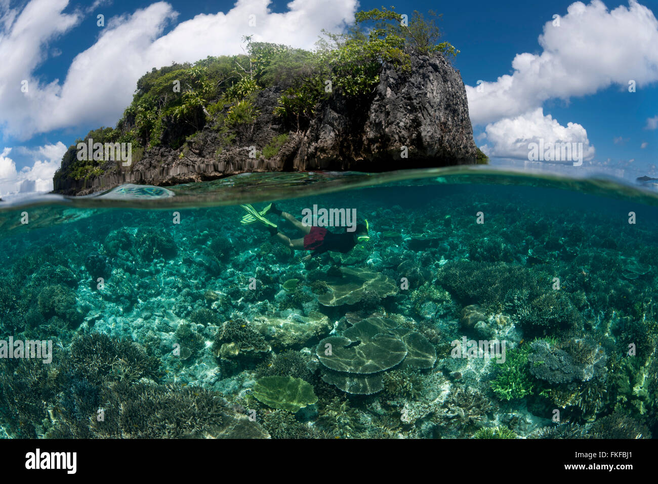 Split-Level Korallenriff und Insel mit Taucher. Misool, Raja Ampat, West Papua, Indonesien, Januar 2010 Stockfoto