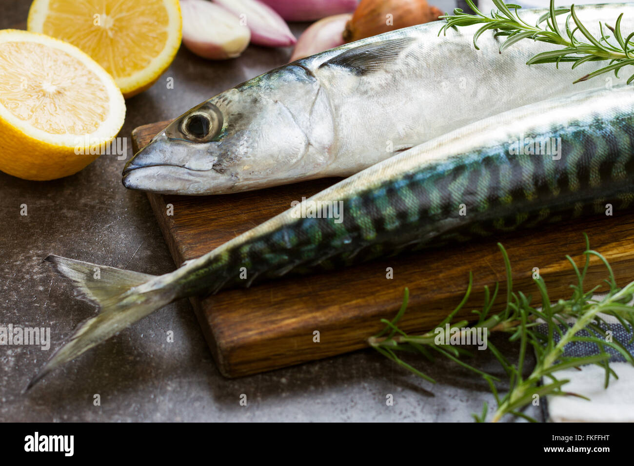 Frische Makrele Fisch ideal für Grill und Grill party Stockfoto