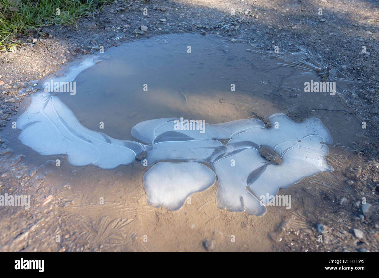Pfützen mit Eis in Ihnen Stockfoto
