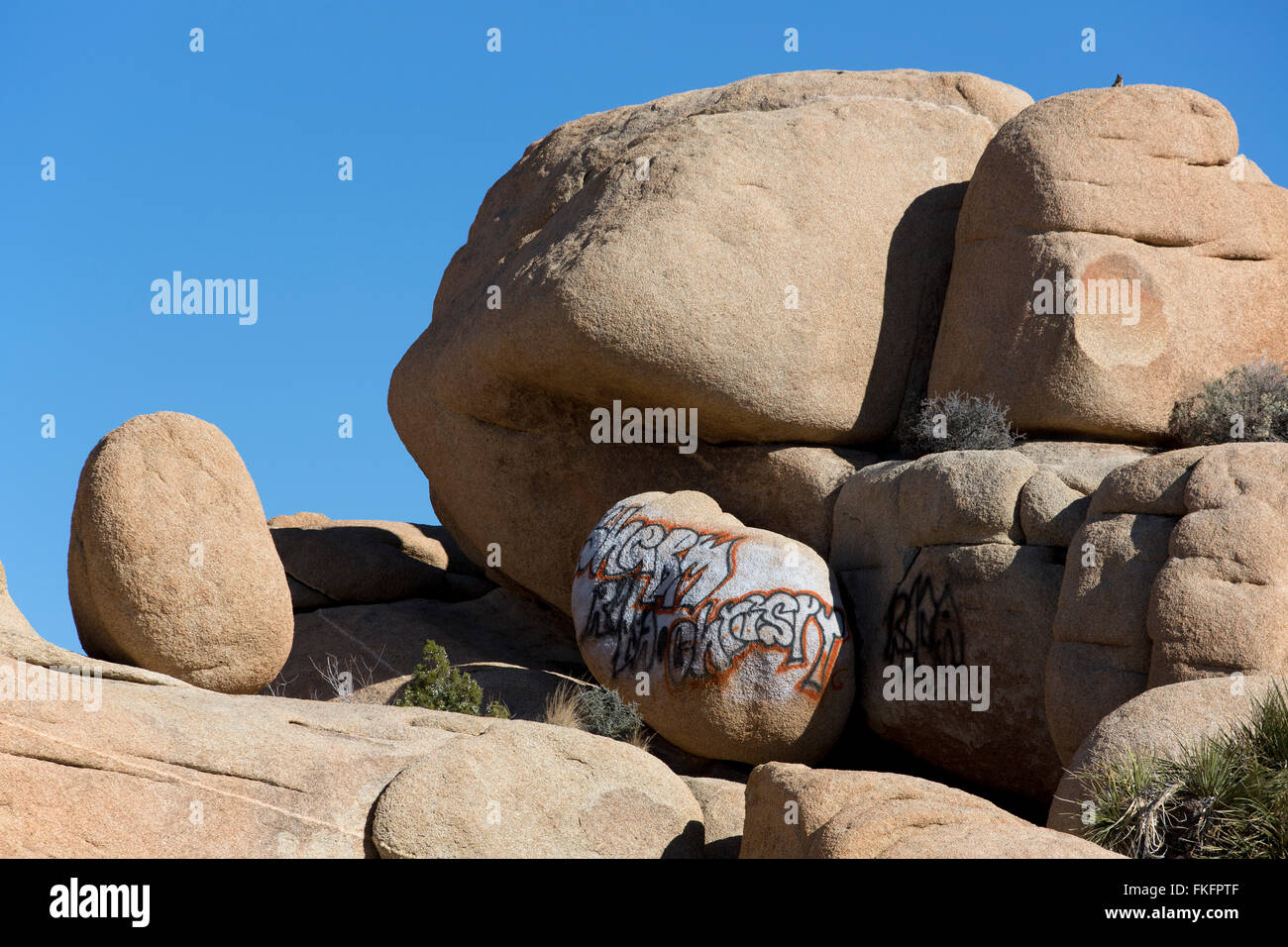 Graffiti auf Felsen, Jumbo Rocks, Joshua Tree Nationalpark, Kalifornien, USA Stockfoto