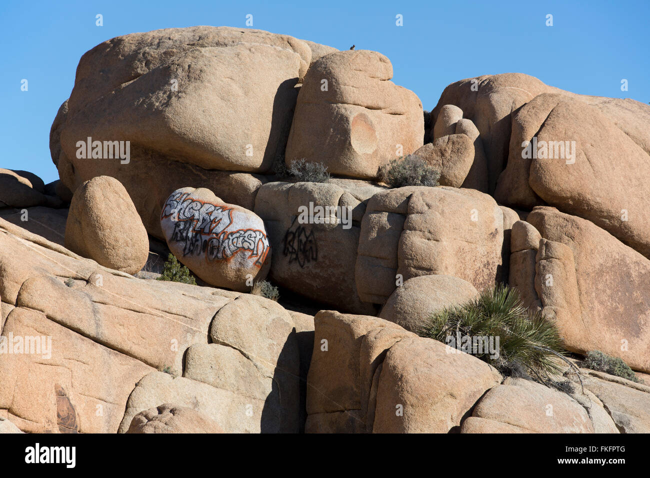 Graffiti auf Felsen, Jumbo Rocks, Joshua Tree Nationalpark, Kalifornien, USA Stockfoto