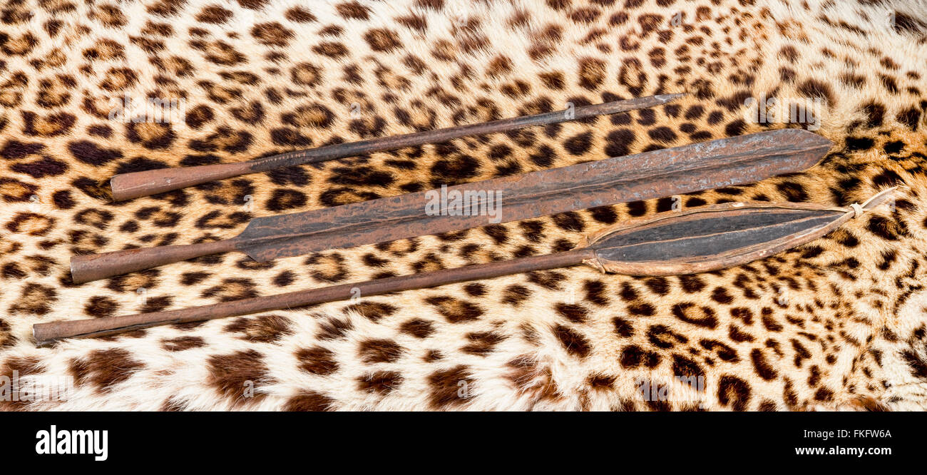 Afrikanische Massai Löwe Speerspitzen auf Leopardenfell. Stockfoto