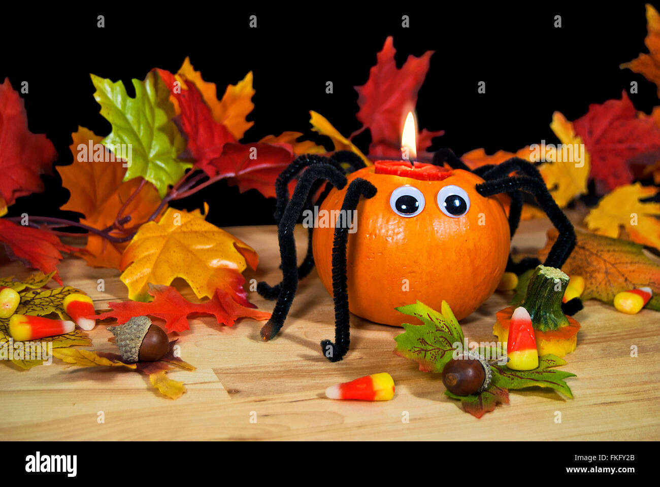 Halloween Kürbis Spinne Kerze mit Süßigkeiten, Eicheln und Blätter im Herbst. Stockfoto