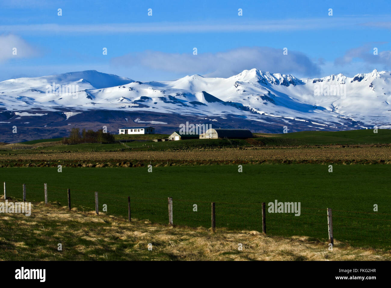 Bauernhof in der Nähe von Seljaland mit Eyjafjallayökul Vulkan, Südinsel Stockfoto