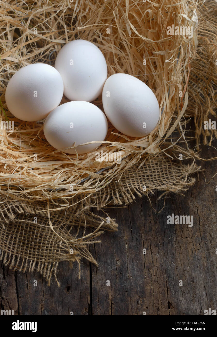 Nest mit Eiern auf Holz Stockfoto