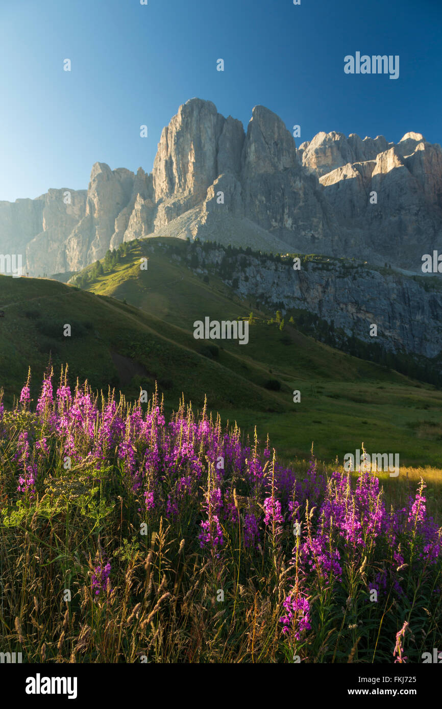 Sonnenaufgang in Sellajoch, Dolomiten Stockfoto