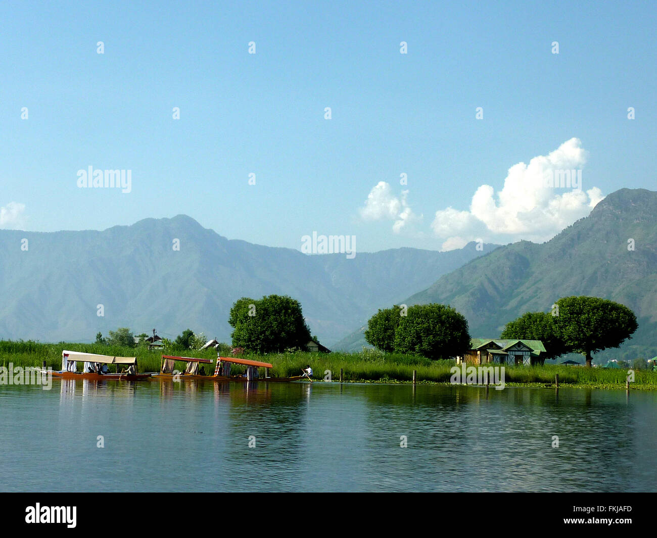 Char Çınar, Dal-See, Srinagar, Kaschmir, Insel mitten im See bekannt für seine vier orientalische Platane Stockfoto